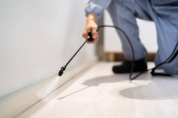 Licensed Pest Control service in Upper Arlington, OH - Show Me Pest Control